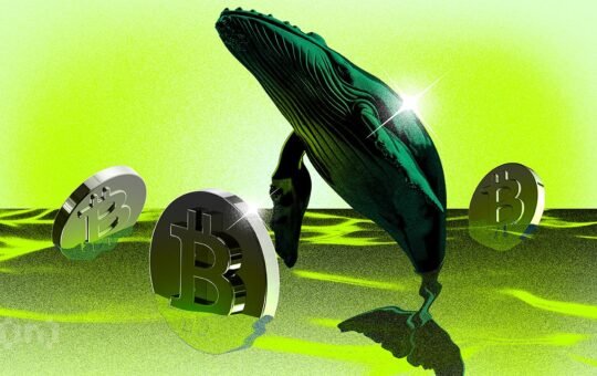Bitfinex Whale Longs Surge: Signal for Bitcoin?