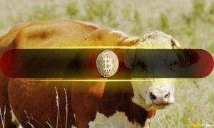 Bitcoin's Next Bull Run Depends on This Single On-Chain Indicator
