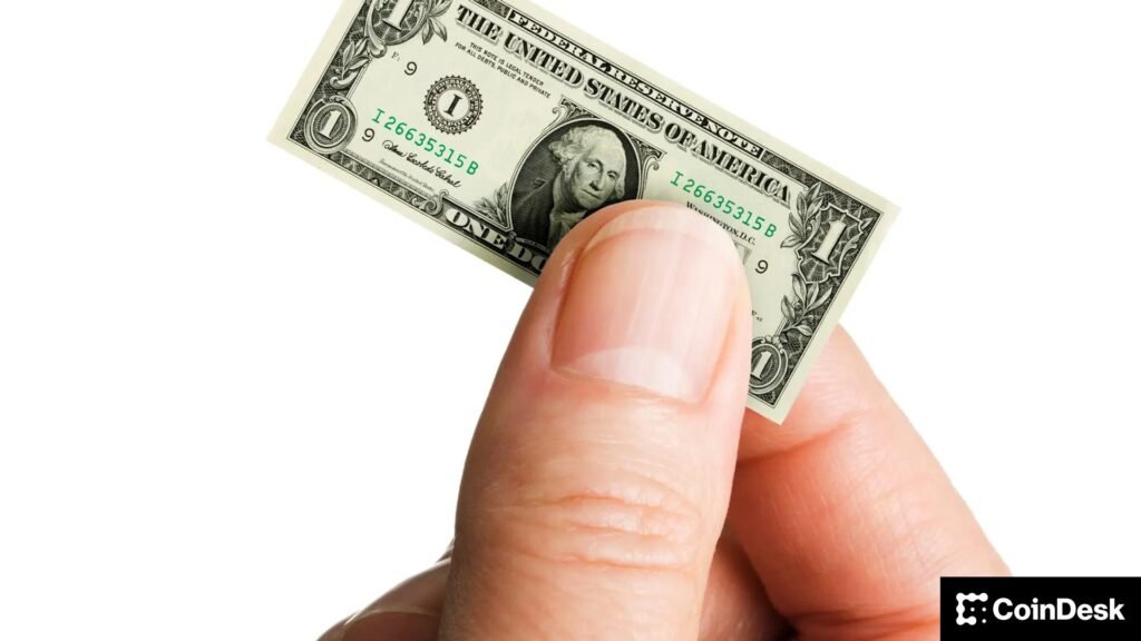 Small investors, or shrimps, are buying BTC. But it's the whales who keep rallies going.