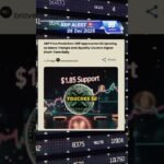 🚨 XRP ALERT: #KareemNetworkXRP #XRP #Ripple #XRPNews #XRPAlert #CryptoNews #XRPArmy #Shorts