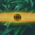 Analysts Eye 'Insane Reversal' in Markets as Bitcoin Touched $70K