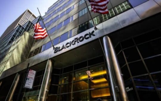 BlackRock says over 90% of Bitcoin ETF investors are long-term accumulators