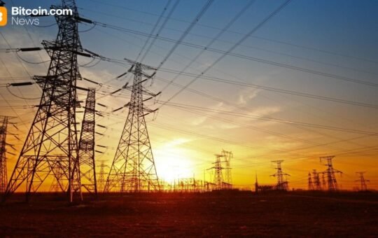 Differently Secured: Bitlease Founder Nima Beni on Why Falling Hashrates Aren’t a Threat