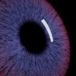 Family offices turn to AI for financial data insights