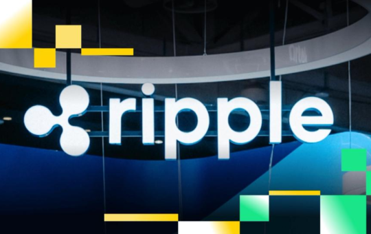 Survey shows banks, fintechs and corporates are all in on digital assets