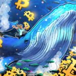 Bitcoin Whale Holdings Hit 5 Month High At 3.09M BTC