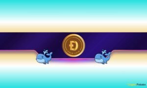 Is Dogecoin Ready for a Further Rally?
