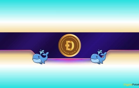 Is Dogecoin Ready for a Further Rally?