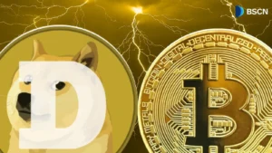 What Makes Dogecoin Different From Bitcoin Despite Sharing the Same Codebase