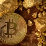 xAI Integrates Grok AI with OpenClaw Personal Assistant