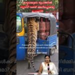 നിങ്ങൾക്ക് AI വീഡിയോകൾ നിർമ്മിക്കാൻ അറിയാമോ? ജോലിക്കായി ബന്ധപ്പെടുക 🙏🏻WhatsApp: 99807 88589