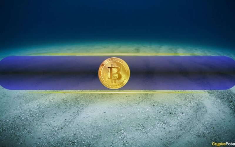 Is Bitcoin Bottoming Out? Long-Term Indicators Shift as Short-Term Pain Persists: Fidelity
