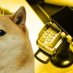 Where DOGE Is Accepted Today?