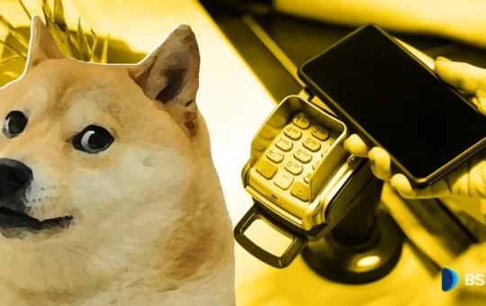 Where DOGE Is Accepted Today?