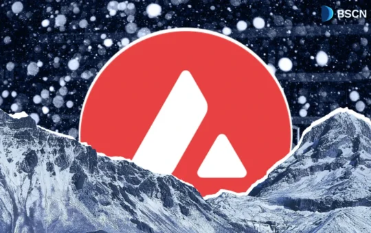 A Closer Look at Avalanche's 2026 Fundamentals