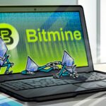 Bitmine ETH Holdings Near 5% as Ether Breaks $2,500