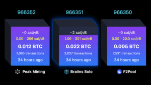 Solo Bitcoin Miner Hits $244K Jackpot After Nearly 40-Day Drought