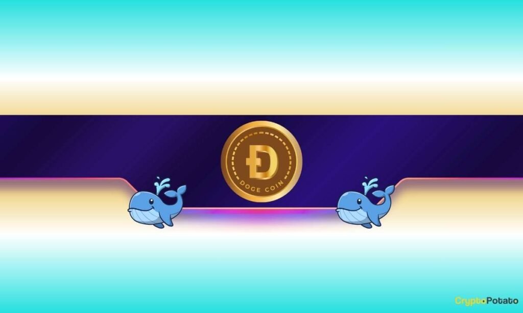 Where Is Dogecoin Headed Next?