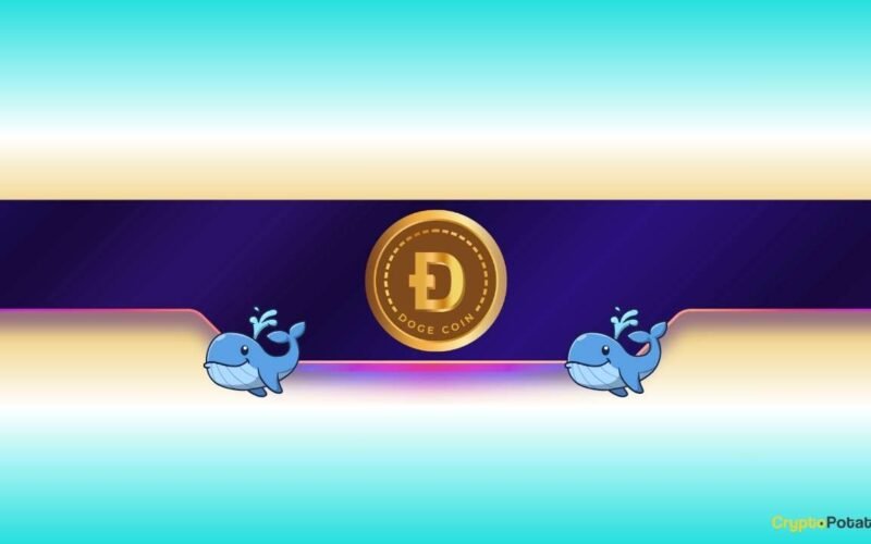 Where Is Dogecoin Headed Next?