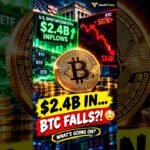 $2.4B FLOODED Bitcoin ETFs… So WHY Is BTC Falling?! 😳 #shorts #bitcoin #crypto #usa