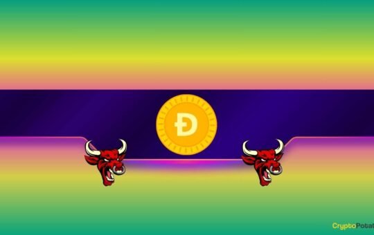 Analyst Explains What Can Trigger DOGE's Next Double-Digit Surge
