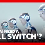 Does rogue AI back the need for a 'kill switch'? | BBC News